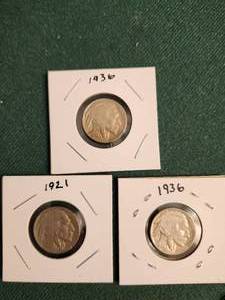 lot 115 image: Buffalo Nickels in protective holders