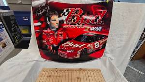 lot 179 image: Budweiser Dale Earnhardt Jr Hood Sign, Great for ManSports Cave