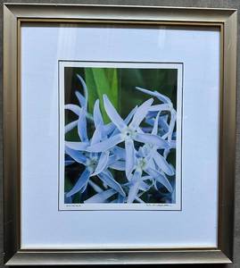 lot 82 image: Framed Floral Art Print Into the Blue by D. Kahler