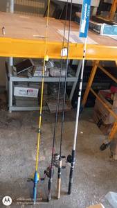 lot 49 image: Set of 4 Fishing Rods with Reels Assorted Brands