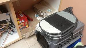 lot 258 image: Assorted Pet Supplies Including Dog Crate, Beds, and Treats