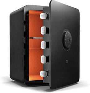 lot 28 image: Day1 Biometric Fingerprint Safe Box