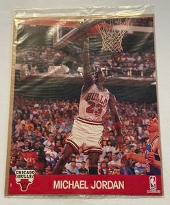 lot 122 image: Michael Jordan 8x10 NBA Hoops Action Photos Team Set Basketball Card