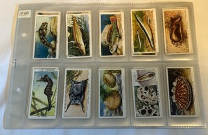 lot 172 image: 1938 The Sea Shore 50 Vintage Cigarette Card Set