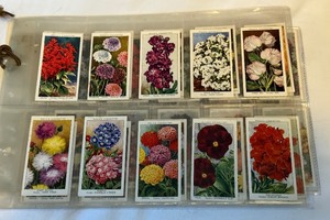 lot 174 image: 1939 Garden Flowers 30 Vintage Cigarette Card Set