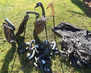 lot 41 image: GOOSE DECOYS