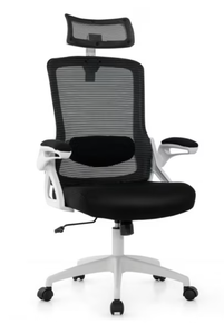 lot 75 image: Spiritual realm Adjustable Swivel Task Chair Ergonomic Office Chair with Adjustable Lumbar Support