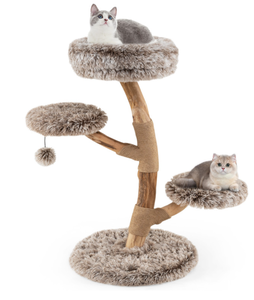 lot 468 image: Cat Tree Solid Pear Wood with Perch and Natural Jute Scratching Posts 19.5 x 35.5 (Dia. X H)