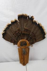 lot 136 image: Wild Turkey Tail Fan Plaque with Wood Mount and Wildlife Engraving