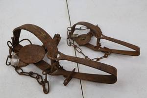 lot 193 image: Pair of Vintage Metal Animal Traps with Chains
