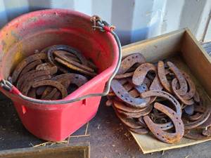 lot 90 image: Lot of Rusty Horseshoes in Feed Bucket - Some Seem to Be Flat and Homemade