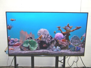 lot 5 image: 65 VIZIO M-Series Quantum M658-G1 Class HDR 4K UHD Smart Quantum Dot LED TV with Wall Mount and Remote Control