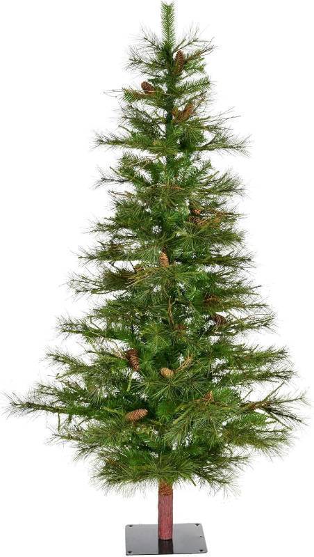 lot 152 image: Vickerman 6 Ashland Artificial Christmas Tree Unlit - Faux Christmas Tree - Unlit - Faux Christmas Tree - Seasonal Indoor Home Decor - Pine Cones Included - Holiday Decorations