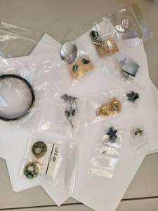 lot 108W image: Lot of Abalone Shell Jewelry - Earrings, Necklaces, and Bracelet