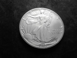 lot 25 image: 1989 Silver Eagle One Dollar 1 OZ. Fine In MS From UNC Roll.
