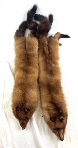 lot 3B image: Mink or Fox Fur Pelt Scarf