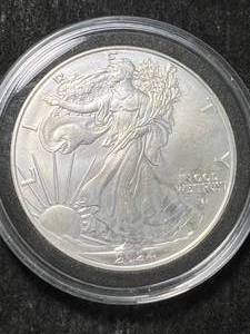 lot 38 image: 2024 AMERICAN SILVER EAGLE 1 TROY OZ .999 FINE SILVER IN AIRTITE