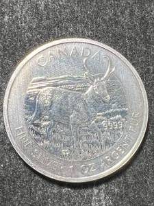 lot 59 image: 2013 CANADIAN PRONGHORN 1 TROY OZ .9999 FINE SILVER