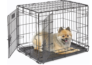 lot 405 image: MidWest Homes for Pets 24-Inch Two-Door iCrate Folding Dog Crate with Divider Panel, Leak-Proof Tray & Secure Latches  Metal Wire Kennel for Small Breeds  Portable, Durable & Easy to Assemble 24L x 18W x 19H (USED)