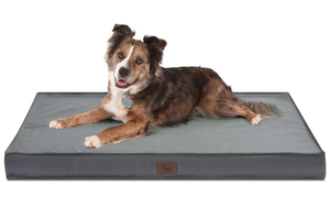 lot 467 image: Tail Stories Outdoor Orthopedic Dog Bed, Waterproof Dog Bed for Large Dogs 36x27 Inch, Egg Crate Foam Pet Mat with Washable Removable Oxford Cooling Cover, Grey