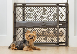 lot 499 image: MYPET North States Paws Portable Pet Gate 26-40 Wide. Pressure Mount. No Tools Needed. Made in USA, 23 Tall, Expandable, Durable Dog Gates for Doorways, Fieldstone Gray