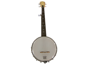 lot 31 image: Vintage Gold Tone Banjolele with Case