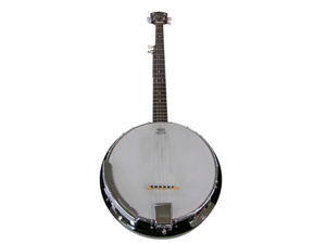 lot 46 image: Austin 5-String Banjo with Case