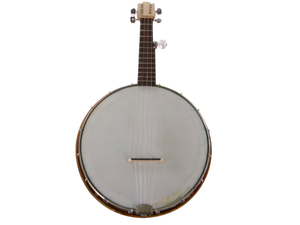 lot 48 image: Vintage Custom Banjolin 5 String with Case