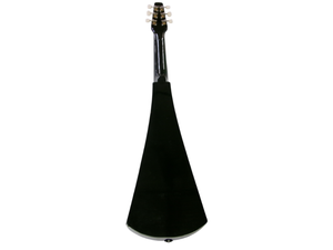 lot 55 image: Black Back Packer Guitar with Case