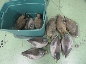 lot 60 image: Duck Decoys