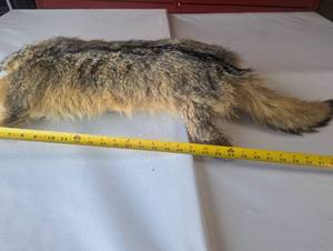 lot 13 image: Fox Fur Pillow