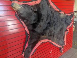 lot 8 image: Full Sized Fabric backed Black Bear Hide Rug - with smiling face bear head