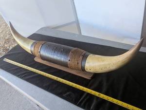 lot 28 image: An even bigger Bull Horn mount