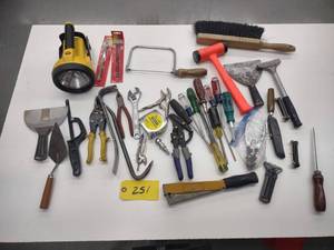 lot 251 image: Assorted Tools...
