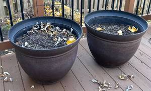 lot 158R image: BY - Pair of Large Resin Planter Pots