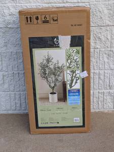lot 37 image: CGH LIFELIKE OLIVE TREE