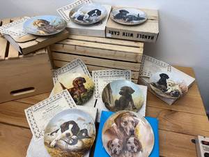 lot 76 image: (8) Assorted Edwin M Knowles HuntingField Puppy Collector Plates