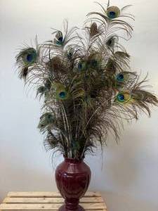 lot 91 image: Vase with Peacock Feathers
