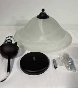 lot 104 image: Frosted Glass Ceiling Light Fixture with Mounting Hardware, 16 Inch Diameter