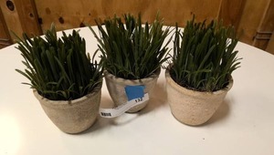 lot 132 image: 3 small dcor plants 8 tall