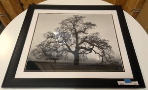 lot 153 image: Black frame and matted tree and landscape photograph 30x26