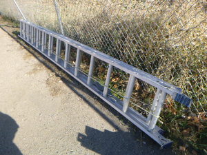 lot 260 image: Capsun 25 Extension Ladder