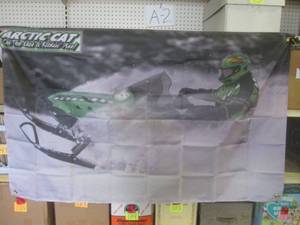 lot 43 image: (FS) 3 ft x 5 ft Arctic Cat On The ...
