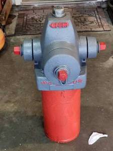 lot 151 image: Waterous Pacer fire hydrant,
