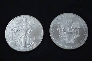 lot A-162 image: 2011 American Silver Eagle 1 oz .999 Fine Silver Coins