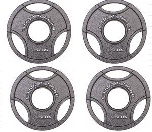 lot 344 image: Fitness Gear Olympic Cast Plate QTY 4