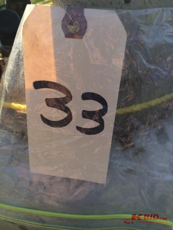 lot 33 image: Assorted LP tanks  (4) 100 lb, (2) 20 lb  total 6 tanks