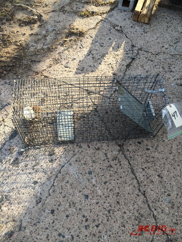lot 47 image: Live Trap 12 high x 10 wide x 32 long