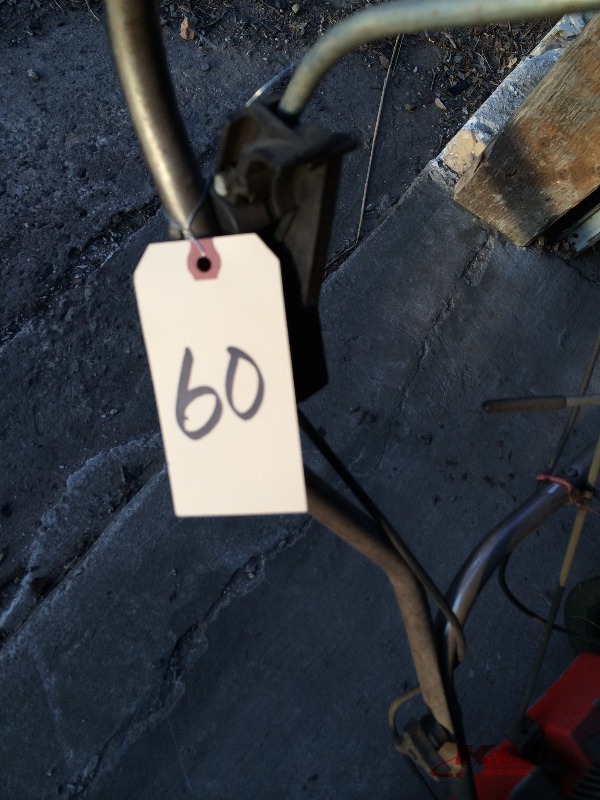 lot 60 image: DR Trimmer 5 hp