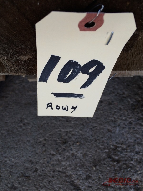lot 109 image: Assorted Cedar 7 Lap siding material - Random lengths, mostly 14 & 16
